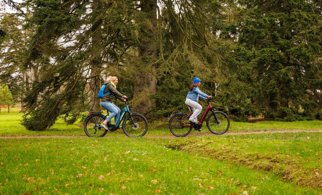 Through the forest with Zadelman Modern Black leather & Cognac leather